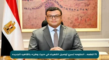 75 قطعة.. الحكومة تسرع توصيل الكهرباء في «بيت وطن» بالقاهرة الجديدة